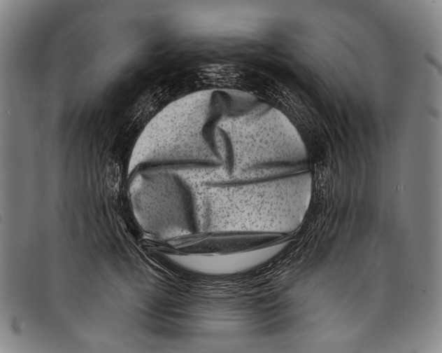X0000097790752200804041235