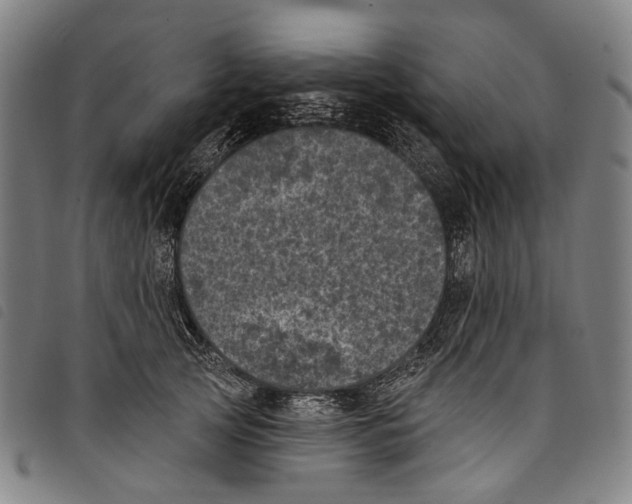 X0000097790753200804041235