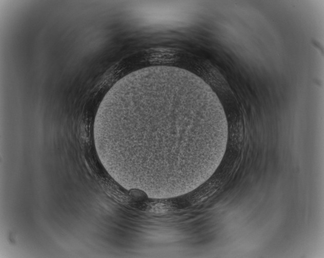 X0000097790755200804041235