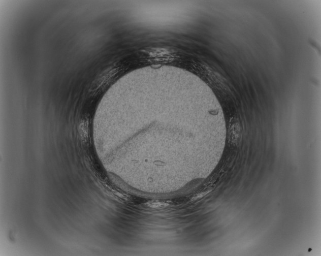 X0000097790756200804041235