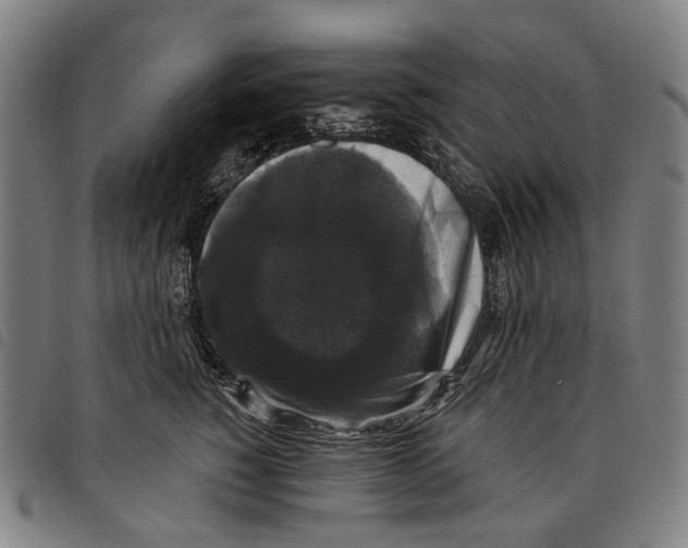 X0000097790760200804041235