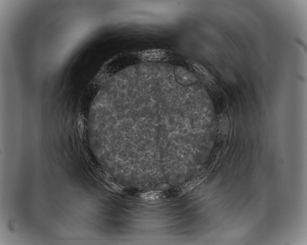 X0000097790761200804041235
