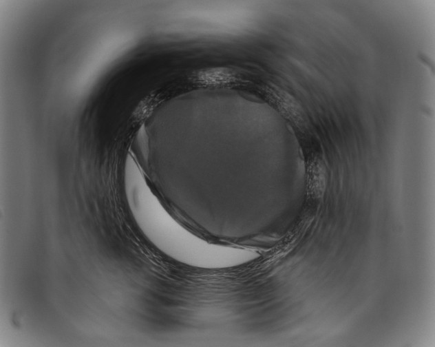 X0000097790762200804041235