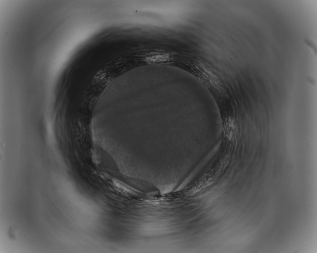 X0000097790763200804041235