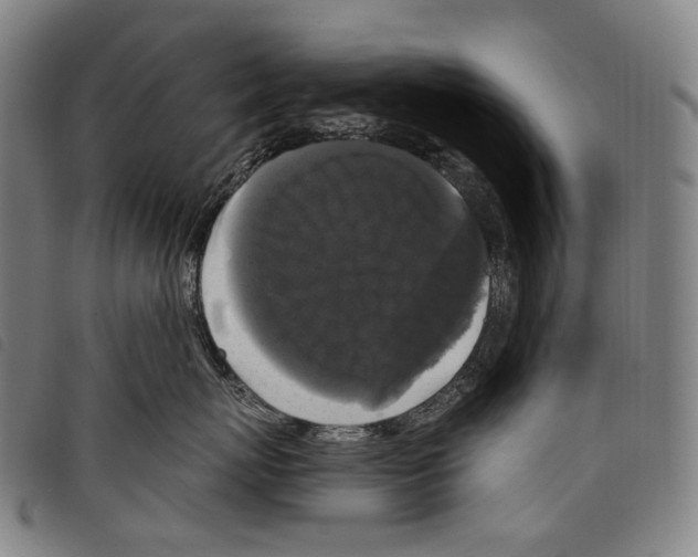 X0000097790767200804041235