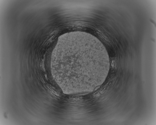 X0000097790771200804041235