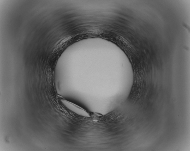 X0000097790773200804041235