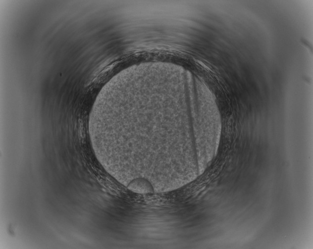 X0000097790774200804041235