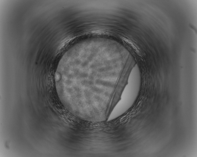 X0000097790776200804041235