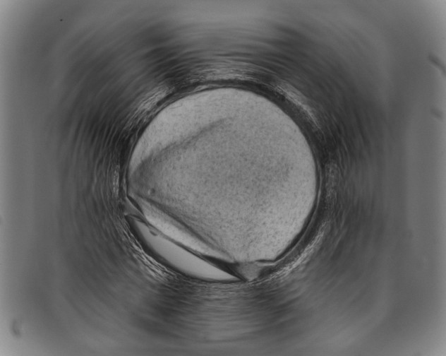 X0000097790777200804041235