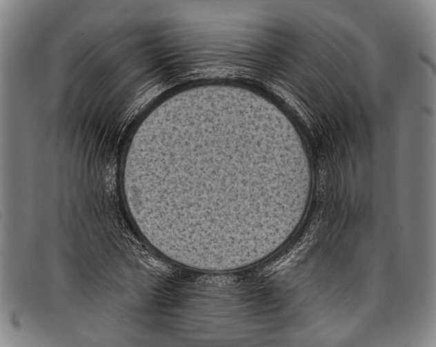 X0000097790778200804041235