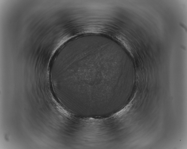 X0000097790779200804041235