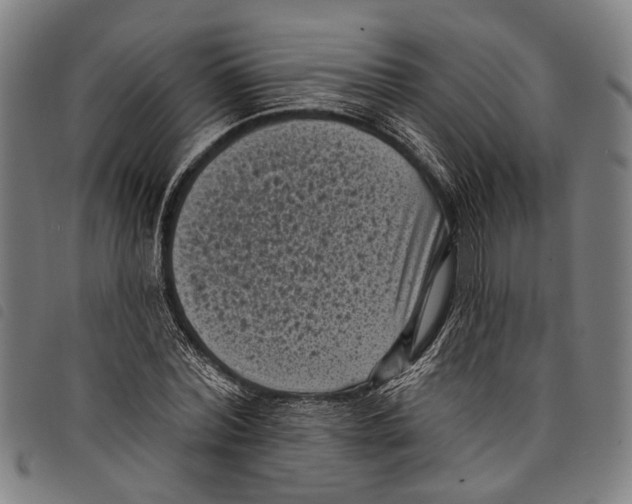 X0000097790780200804041235