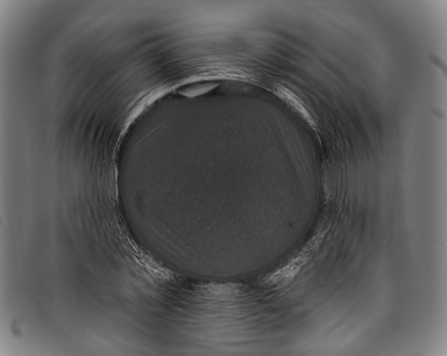 X0000097790781200804041235