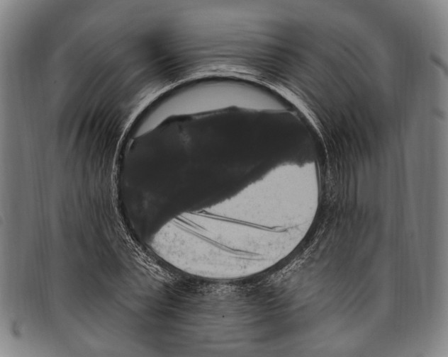 X0000097790783200804041235
