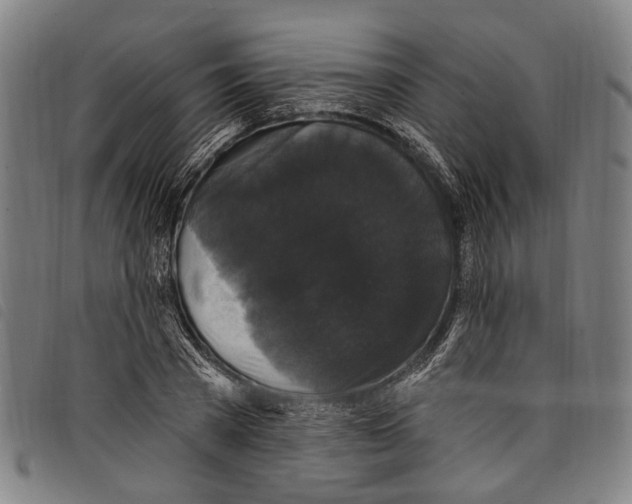 X0000097790785200804041235