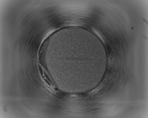 X0000097790787200804041235