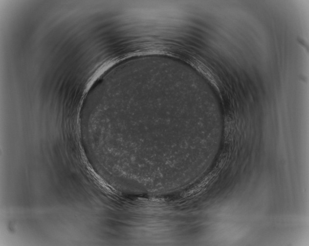 X0000097790789200804041235