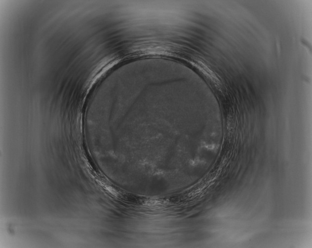 X0000097790790200804041235