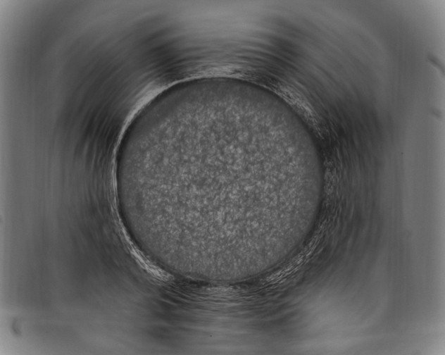 X0000097790792200804041235