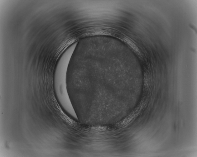 X0000097790793200804041234