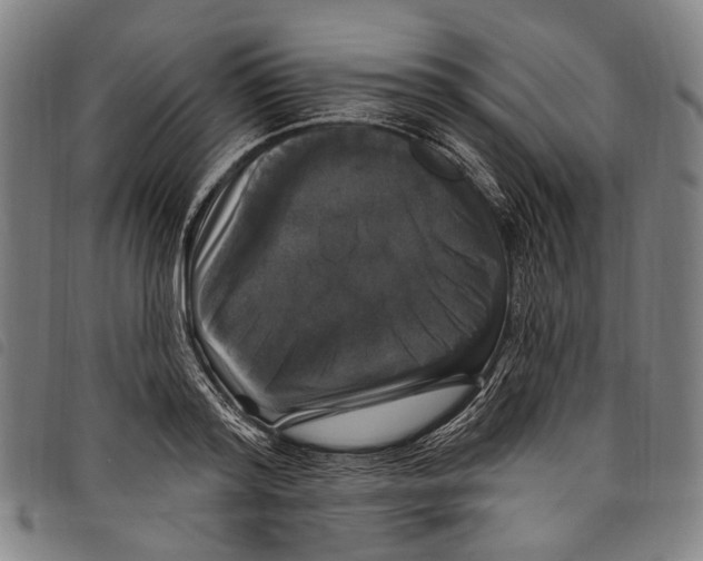 X0000097790796200804041234