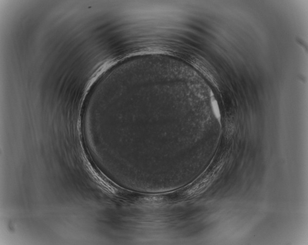 X0000097790797200804041234