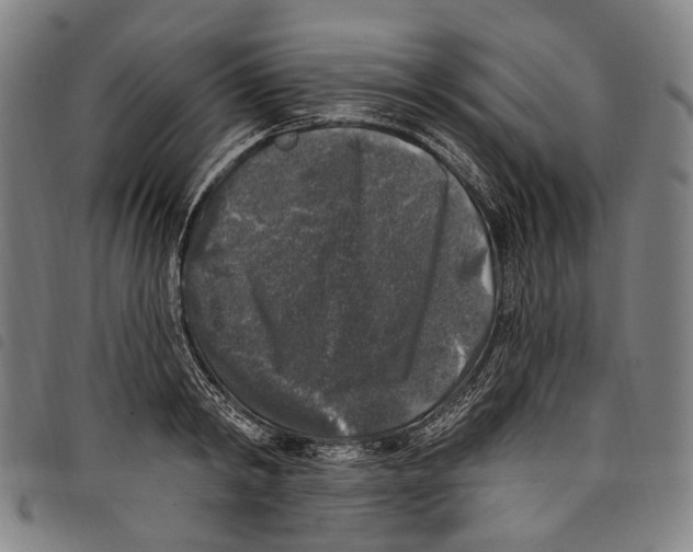 X0000097790798200804041234