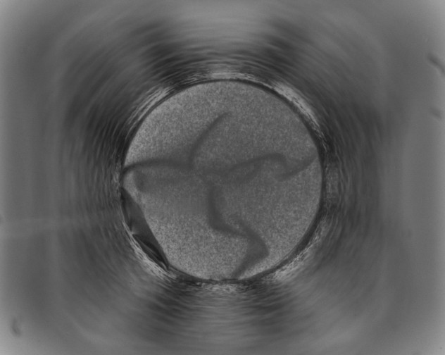 X0000097790801200804041234