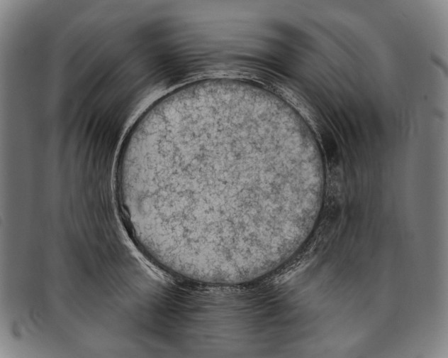X0000097790803200804041234