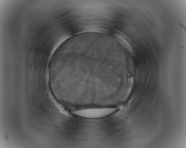 X0000097790804200804041234