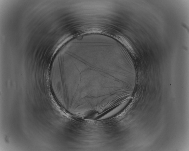 X0000097790806200804041234