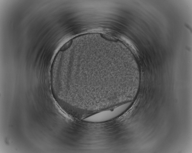 X0000097790808200804041234