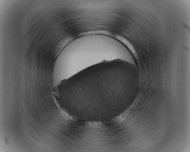 X0000097790809200804041234