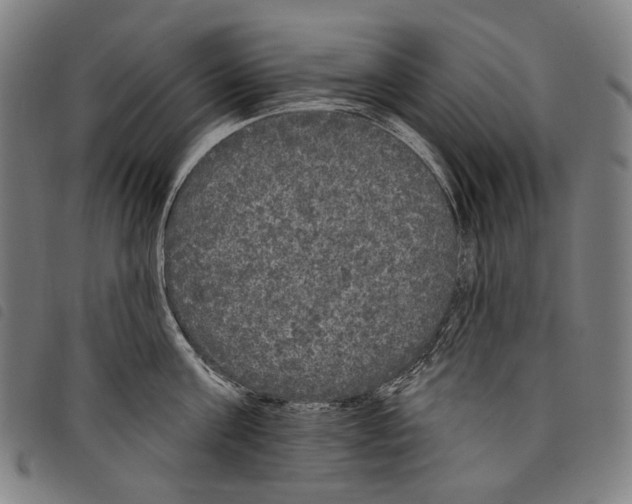 X0000097790811200804041234