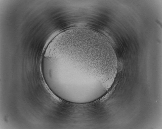 X0000097790812200804041234
