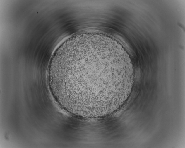 X0000097790814200804041234