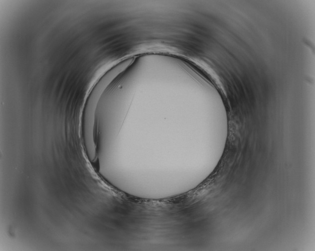 X0000097790815200804041234