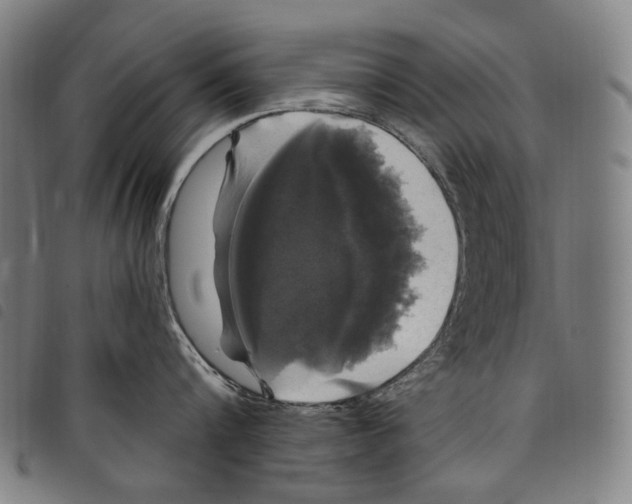X0000097790816200804041234