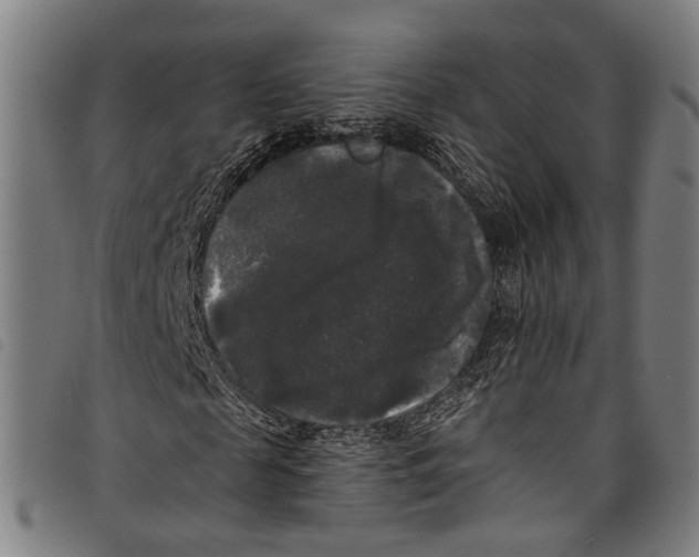X0000097790817200804041234