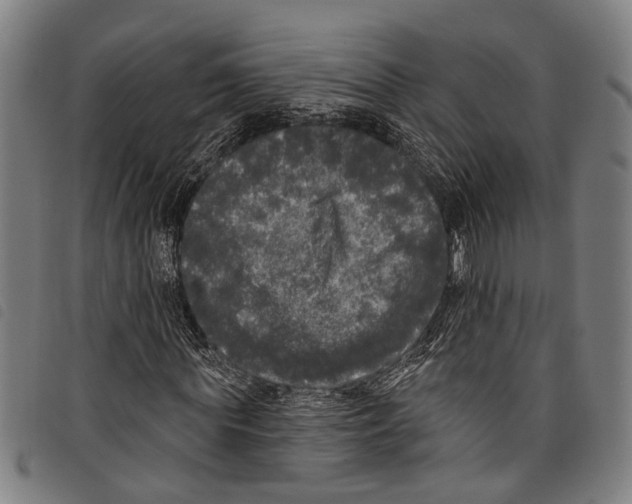 X0000097790819200804041234