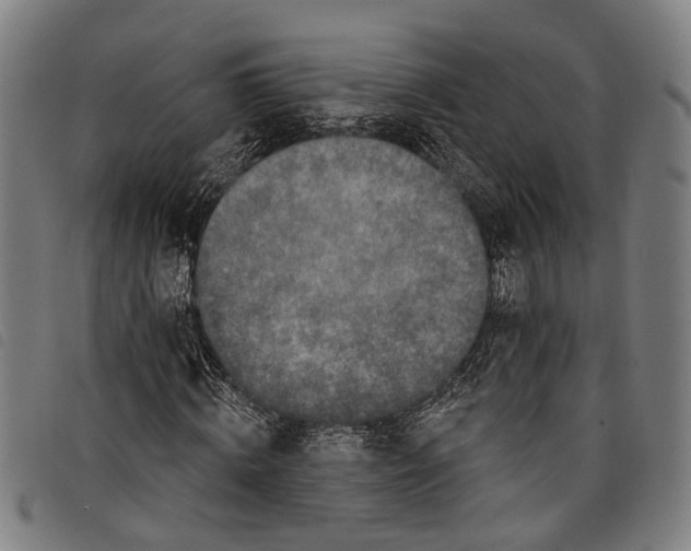X0000097790820200804041234