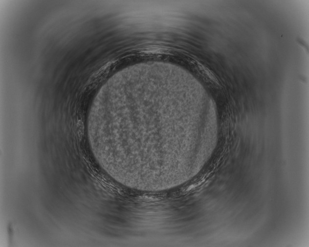 X0000097790821200804041234