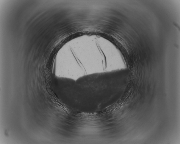 X0000097790823200804041234
