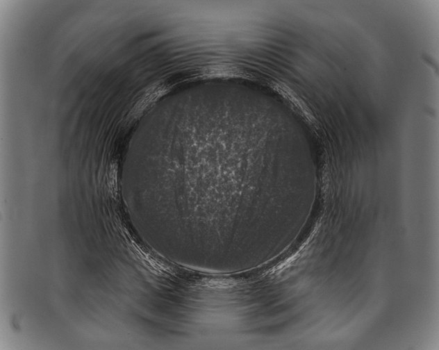 X0000097790825200804041234