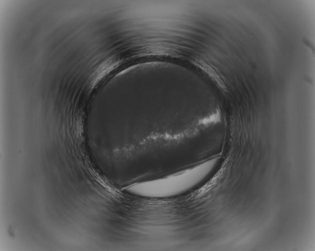 X0000097790826200804041234