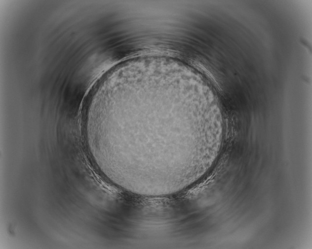 X0000097790828200804041234