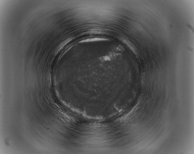 X0000097790829200804041234