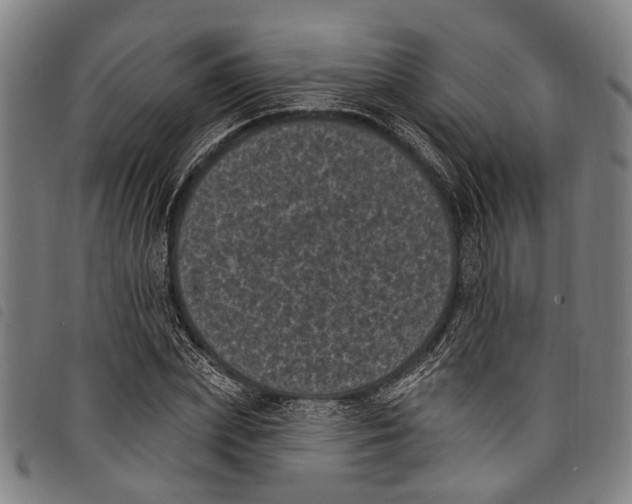 X0000097790831200804041234
