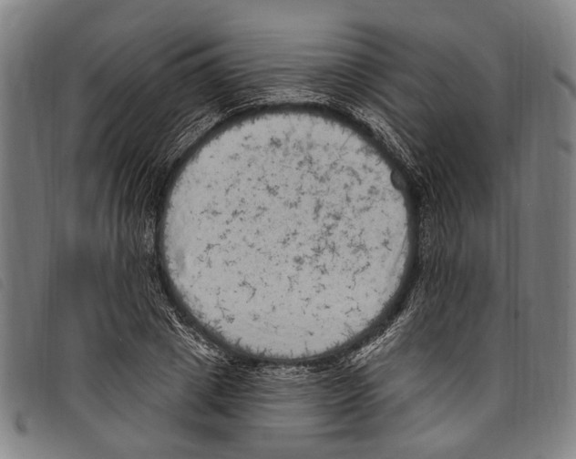 X0000097790833200804041234